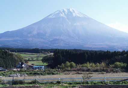 ��������̕x�m�R