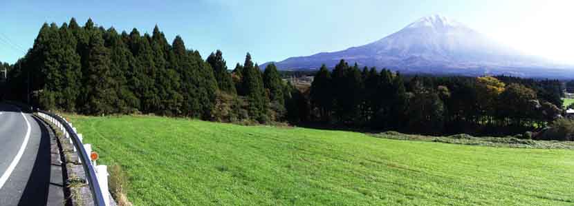 �f���炵���x�m�R�̃p�m���}